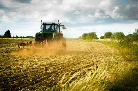 Foncier agricole : le Sénat adopte la proposition de loi pour lutter contre l’accaparement excessif des terres